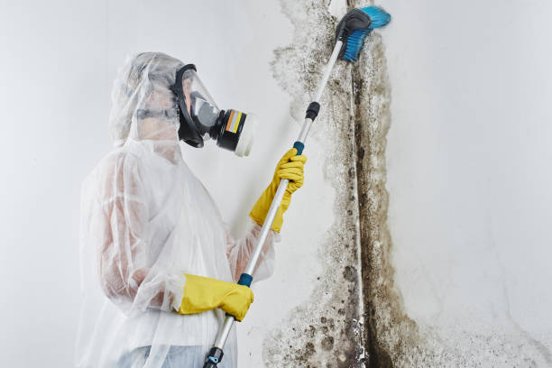 Water damage restoration experts in Phoenix, IL